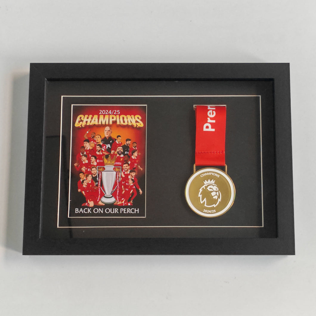 CHAMPIONS WINNERS MEDAL + FRAMED PICTURE