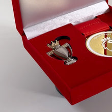 Load image into Gallery viewer, PL Winners Medal + 3D Trophy + Velvet Box [PL3]
